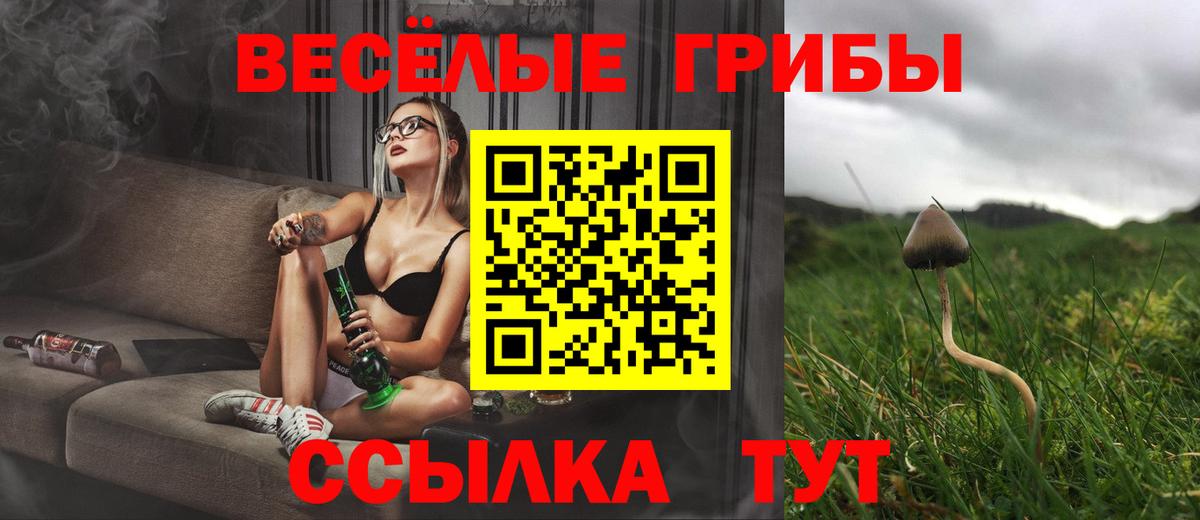 Галлюциногенные грибы Psilocybine cubensis Ликино-Дулёво